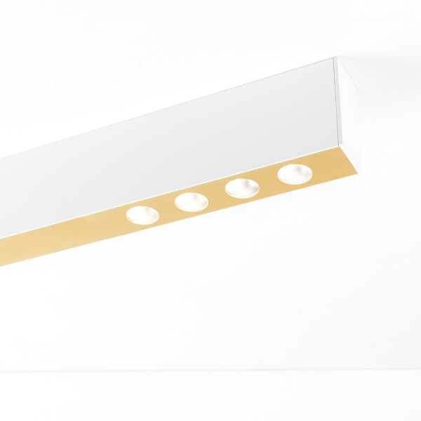 DOT LINE R4 powerline